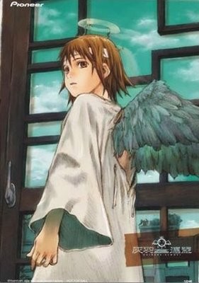 haibanerenmei.jpg