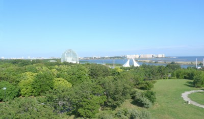 P1180890b.jpg