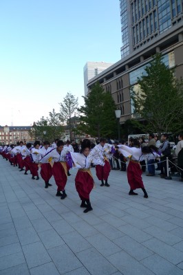 tokyo,chiyoda,matsuri,momiji,photo