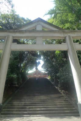 japon,voyage,tokyo,asakusa