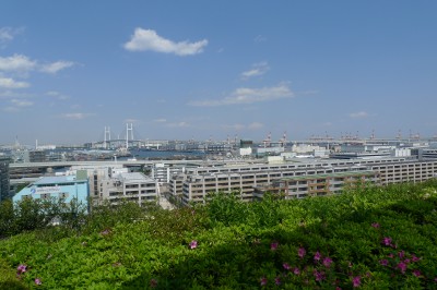 yokohama,jardin