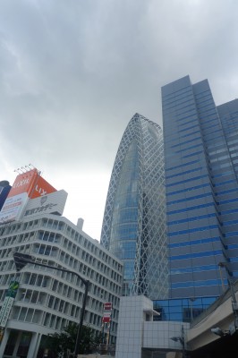 P1140584.JPG