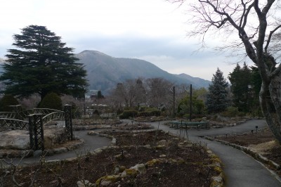 japon,sortie,kanagawa,hakone,temple,sanctuaire,photo