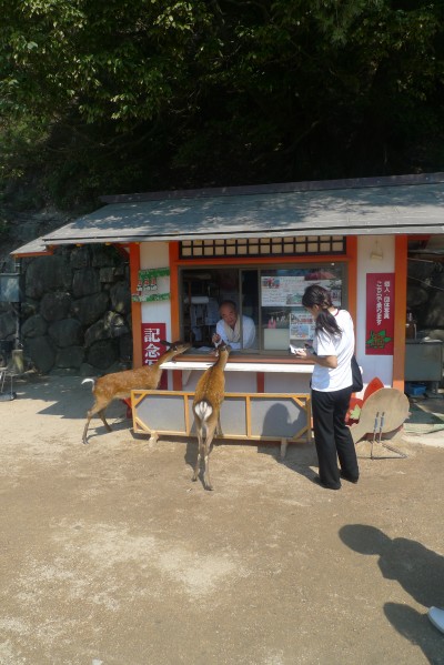 japon,voyage,miyajima,itsukushima