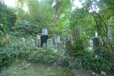 japon,kamakura,photo,temple,sanctuaire
