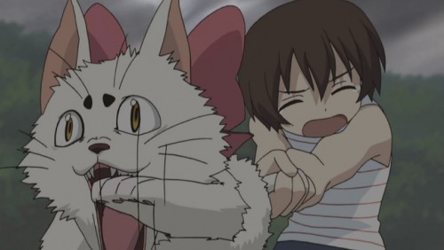 Kamichu1.jpg