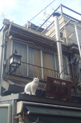 japon,tokyo,yanaka,temple,nourriture japonaise