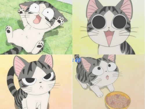Chi.jpg