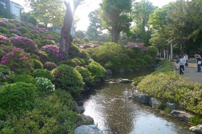 tokyo,bunkyo,sanctuaire,matsuri,photo