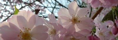 blog,bannière,photo