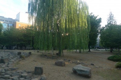 tokyo,japon