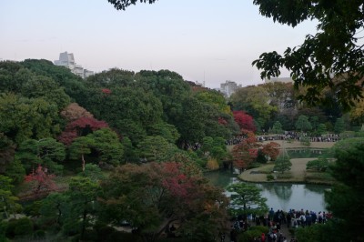 japon,tokyo,bunkyo,jardin,momiji,photo