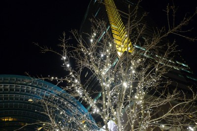 japon,tokyo,ebisu,roppongi,shinjuku