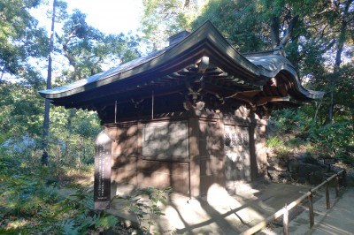 tokyo,bunkyo,momiji,photo