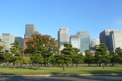tokyo,chiyoda,matsuri,momiji,photo