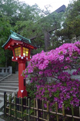 kamakura,enoshima,temple,sanctuaire,photo