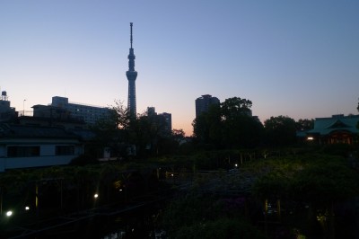 P1180086.JPG