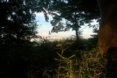 yokohama,japon,photo