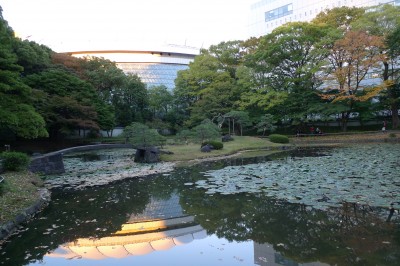 tokyo,bunkyo,momiji,photo