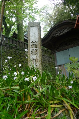 P1180454.JPG