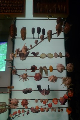 voyage,visite,usa,new york,musée,photo