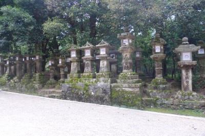 japon,voyage,nara,kansai