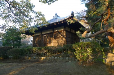 japon,temple,tokyo,nakano,ume