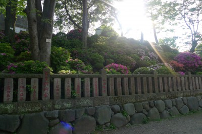 tokyo,bunkyo,sanctuaire,matsuri,photo