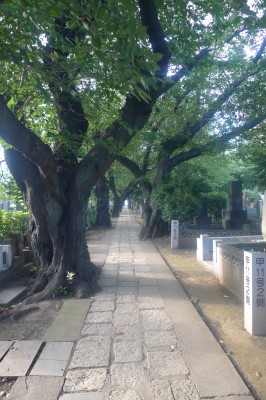 japon,tokyo,yanaka,temple,nourriture japonaise