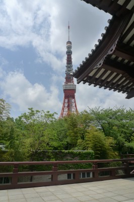 P1180412.JPG