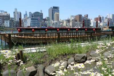 P1180684.JPG