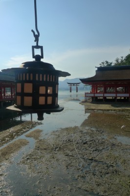 japon,voyage,miyajima,itsukushima