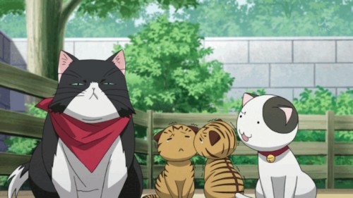 nyankoi3.jpg