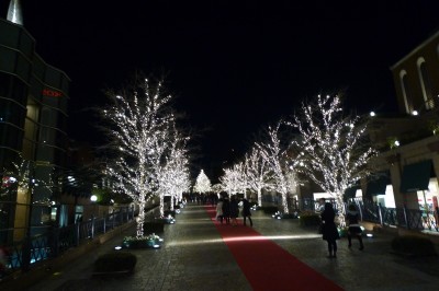 japon,tokyo,ebisu,roppongi,shinjuku