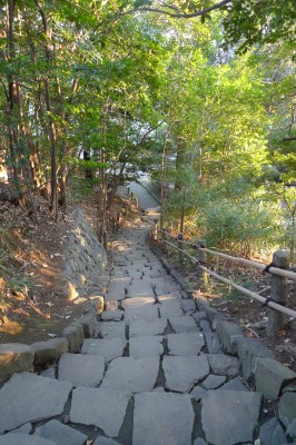 japon,temple,tokyo,nakano,ume