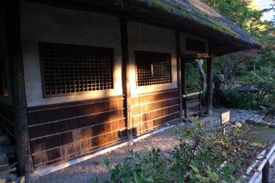 tokyo,bunkyo,momiji,photo