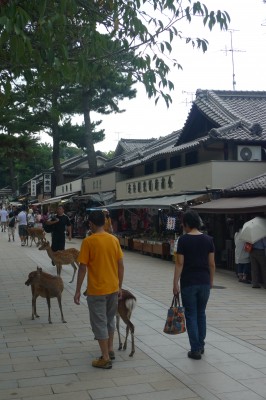 japon,voyage,japonais