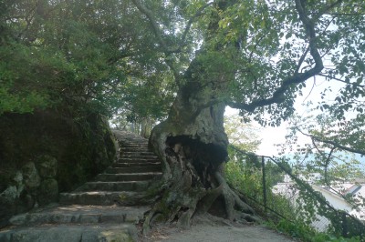 japon,voyage,miyajima,itsukushima