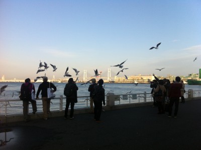japon,kanagawa,yokohama,photo