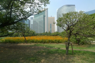 voyage,japon,tokyo