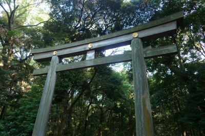 japon,tokyo,yoyogi,harajuku,shibuya