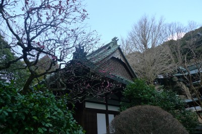 japon,sortie,kanagawa,hakone,photo
