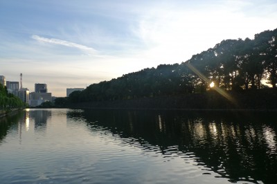 tokyo,chiyoda,matsuri,momiji,photo
