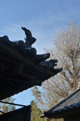 japon,kamakura,photo,temple,sanctuaire