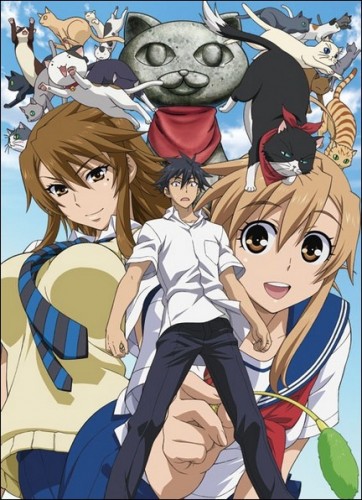 nyankoi1.jpg
