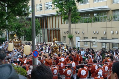 P1150054.JPG